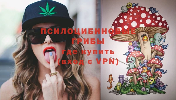 ALPHA PVP Аркадак